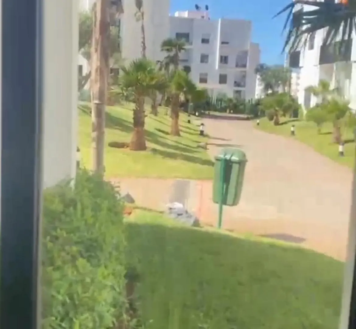 Apartment Magnifique Appartement Proche De Casanearshore, Iscae, Airport Casablanca Morocco